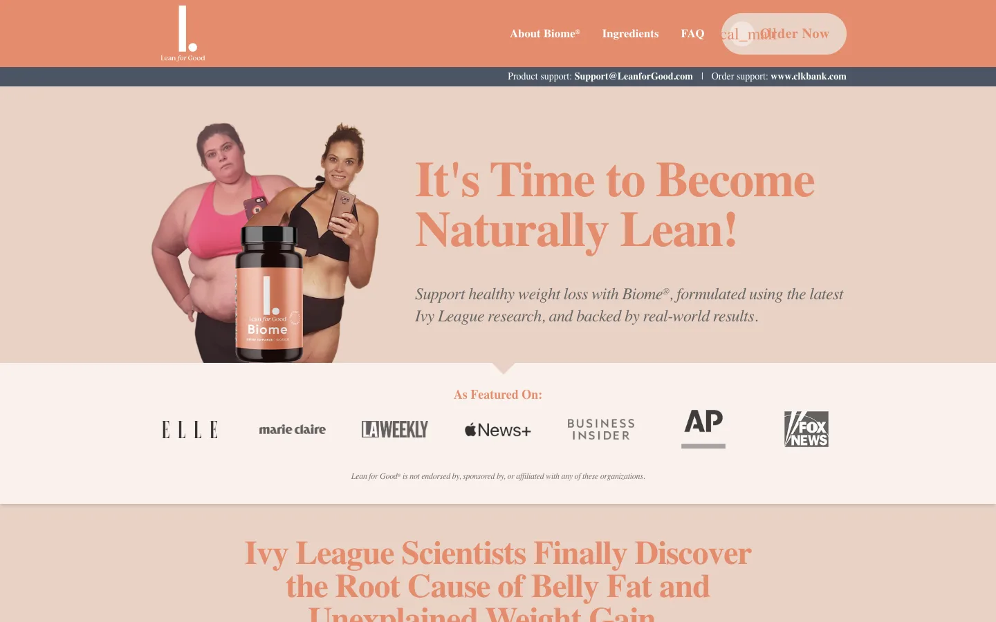 Lean Life Now bridge screenshot