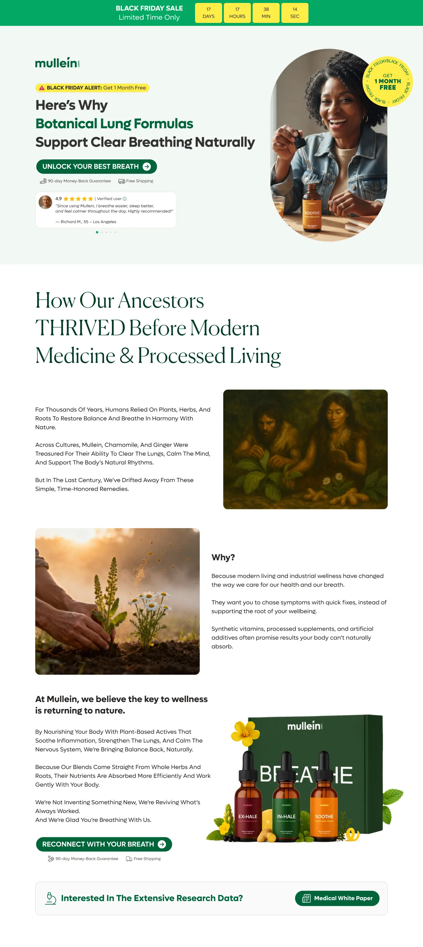 Mullein Black Friday promo landing page design preview