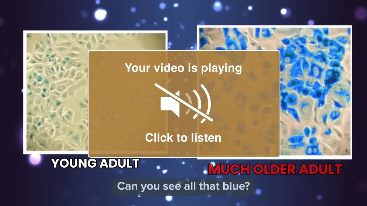 Longevity Activator VSL screenshot