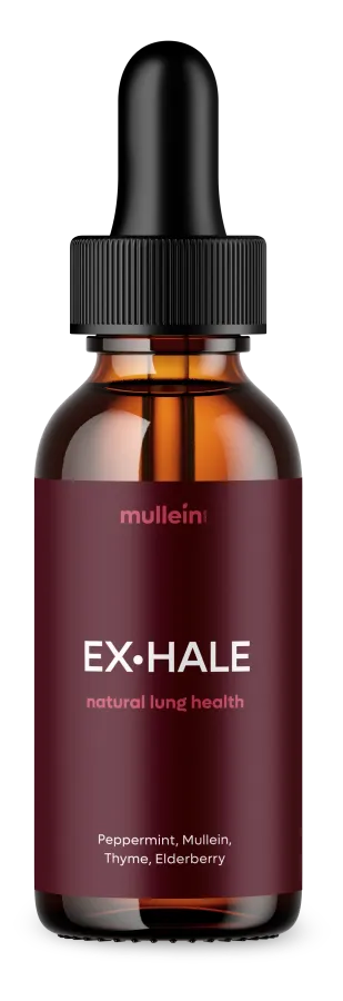 Mullein EX·HALE dropper bottle.