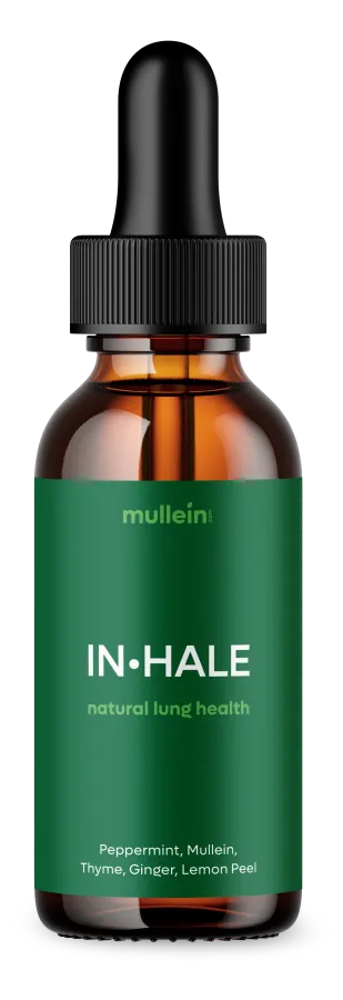 Mullein IN·HALE dropper bottle.