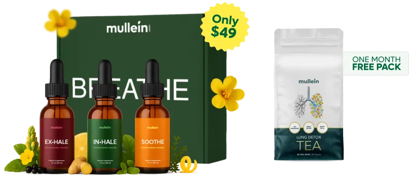 Mullein free pack offer product group.